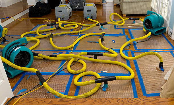 Professional Basement Flood Cleanup technician working in Kamuela, HI